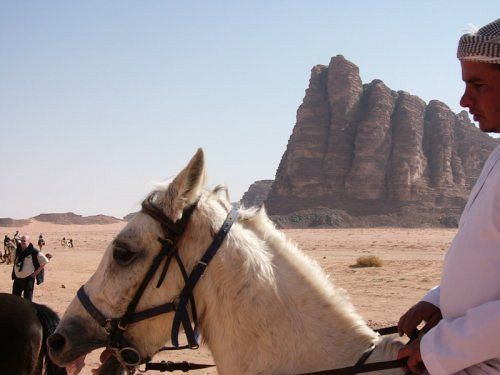 Captain'S Desert Camp Wadi Rum Exteriör bild